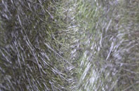 Bunkegivie fibreglass roof work